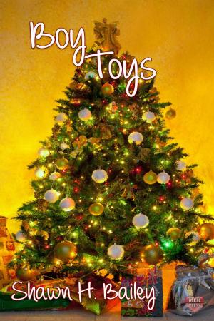 Cover of the book Boy Toys by Stephani Hecht