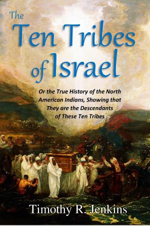 Book cover of The Ten Tribes of Israel: Or the True History of the North American Indians, Showing that They are the Descendants of These Ten Tribes (1883)