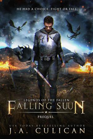 Cover of the book Falling Suun by J.A. Culican