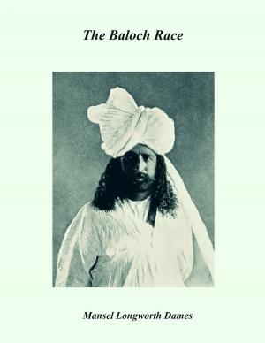 bigCover of the book The Baloch Race by 