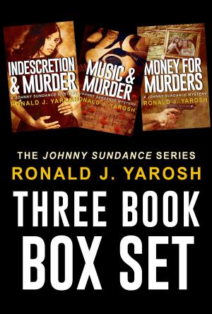 Cover of The Johnny Sundance Mystery Series Boxed Set #4