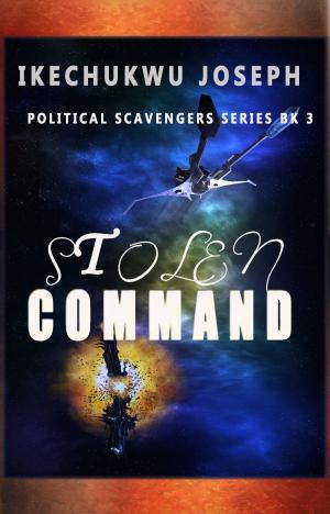 Book cover of Stolen Command