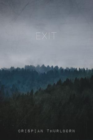 Cover of the book Exit by Diana Dempsey