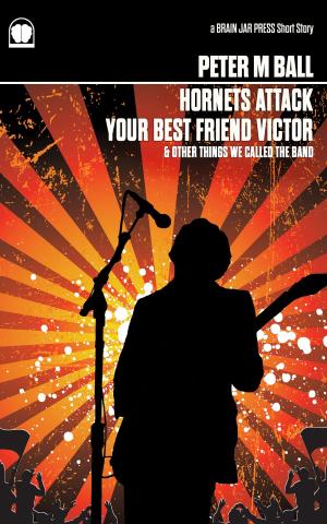 Cover of the book Hornets Attack Your Best Friend Victor & Other Things We Called The Band by Kimberly Kinrade