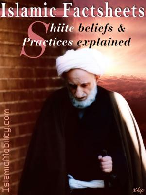 Book cover of Islamic Factsheet Shiite Beliefs And Practices Explained