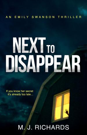 Book cover of Next To Disappear