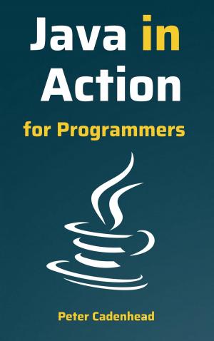 Cover of Java in Action for Programmers