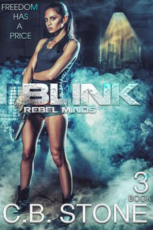 Cover of the book Blink 3 by Ashley Redden