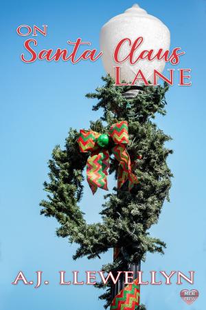 Book cover of On Santa Claus Lane
