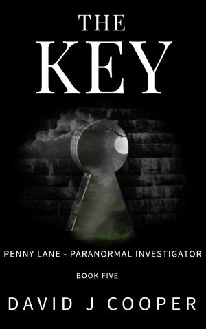 Cover of the book The Key by Perrin Briar