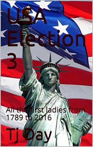 Book cover of USA Election 3