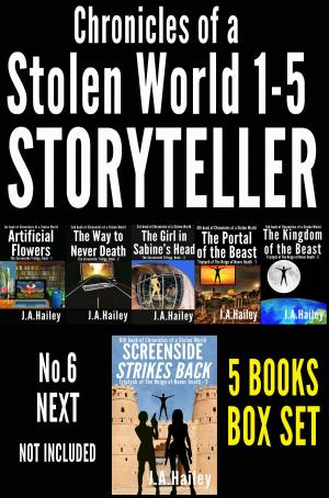 Book cover of STORYTELLER, Chronicles of a Stolen World 1-5