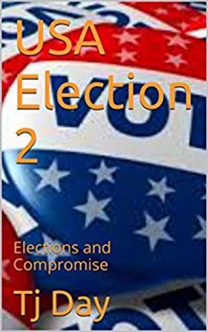 Cover of the book USA Election 2 by Nathan Gallizier