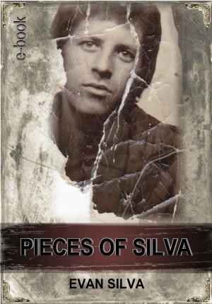 Book cover of Pieces Of Silva