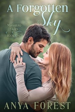 Cover of the book A Forgotten Sky by Joanne Zienty