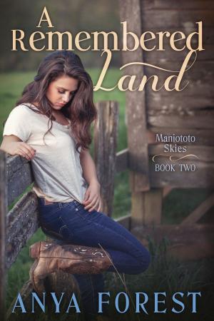 Cover of the book A Remembered Land by Chelsea Camaron, Theresa Marguerite Hewitt