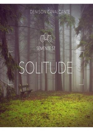 Cover of the book Solitude by Rubie José Giordani