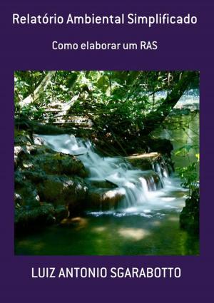 Cover of Relatório Ambiental Simplificado