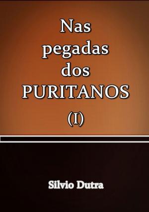 Book cover of Nas Pegadas Dos Puritanos