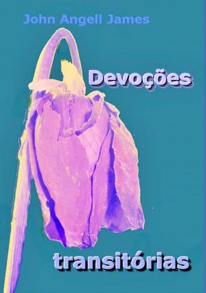 Cover of the book Devoções Transitórias by Paula Alves