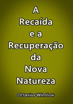 Cover of the book A Recaída E A Recuperação Da Nova Natureza by Kiko Fernandes
