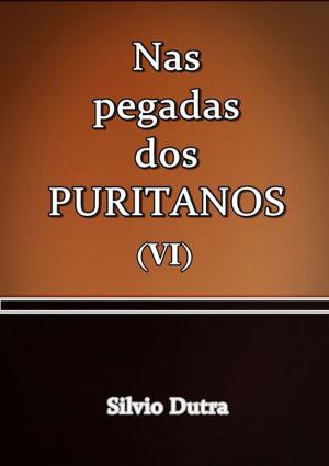 Cover of the book Nas Pegadas Dos Puritanos Vi by Laércio Carvalho