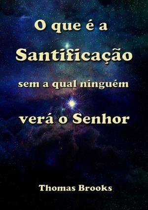 Cover of the book O Que é A Santificação Sem A Qual Ninguém Verá O Senhor by Cabral Veríssimo