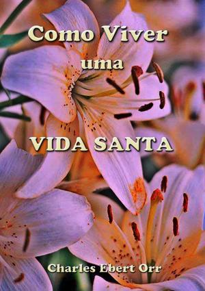 Cover of the book Como Viver Uma Vida Santa by Organizador: ZÉlio Cabral