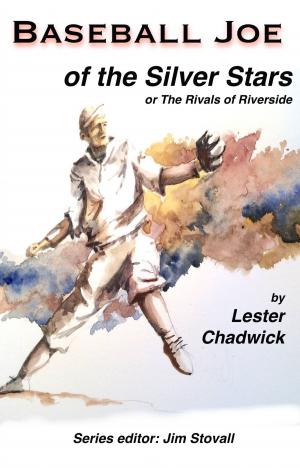 Cover of the book Baseball Joe of the Silver Stars by Rob Ruck