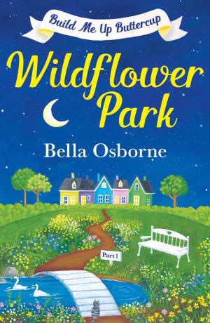 Book cover of Wildflower Park – Part One: Build Me Up Buttercup (Wildflower Park Series)