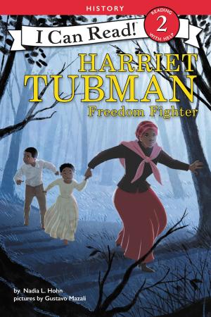 Cover of the book Harriet Tubman: Freedom Fighter by Michael Allred, Andrew Knaupp