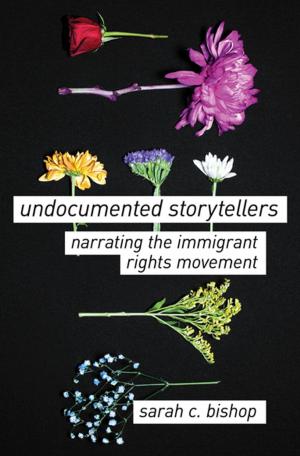Cover of the book Undocumented Storytellers by Cathy N. Davidson
