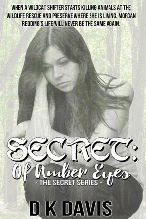 bigCover of the book Secret: Of Amber Eyes by 