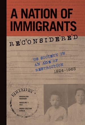 Cover of the book A Nation of Immigrants Reconsidered by Yu Hong