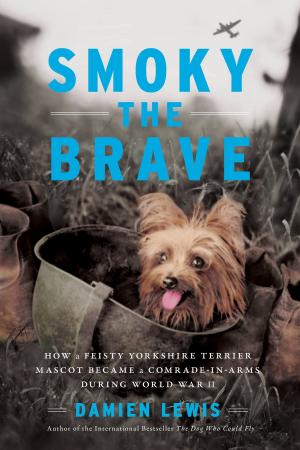 Book cover of Smoky the Brave