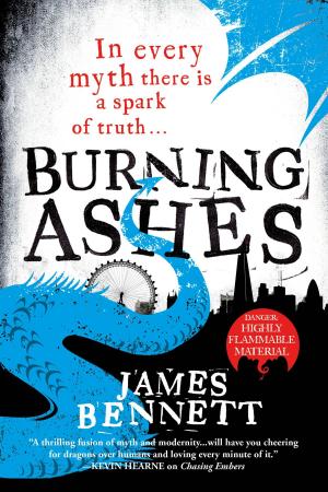 Cover of the book Burning Ashes by Claire North