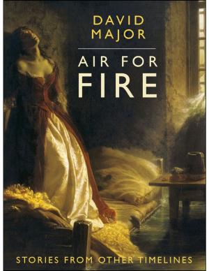 Cover of the book Air for Fire by Helena Gran