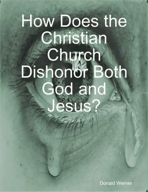 Cover of the book How Does the Christian Church Dishonor Both God and Jesus? by Sean Williams