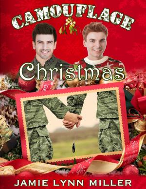 Cover of the book Camouflage Christmas by Julian Hazeldine