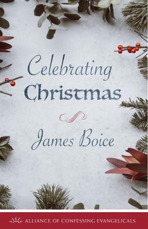 Book cover of Celebrating Christmas