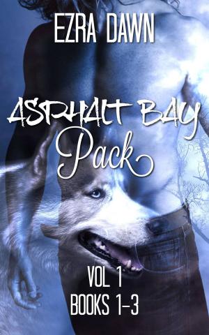 Book cover of Asphalt Bay Pack Volume One