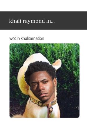Cover of the book Wot in Khalitarnation by Khali Raymond