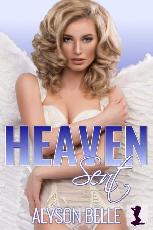 Book cover of Heaven Sent