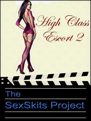 Cover of the book High Class Escort 2 by The SexSkits Project
