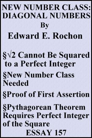 Book cover of New Number Class: Diagonal Numbers