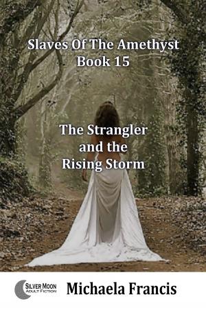 Cover of the book The Strangler and the Rising Storm: Slaves of The Amethyst Volume 15 by Declan Brand