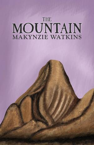 Cover of the book The Mountain by Shahzaib Afzal