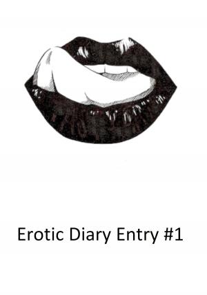 Cover of the book Erotic Diary Entry 1 by Blair Buford