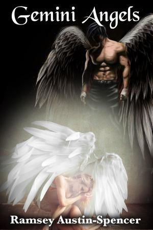 Cover of the book Gemini Angels by Kayla Gabriel
