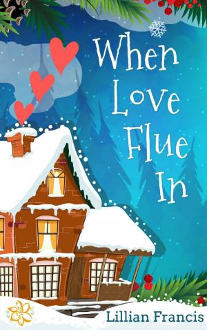 Cover of the book When Love Flue In by Laura Shinn